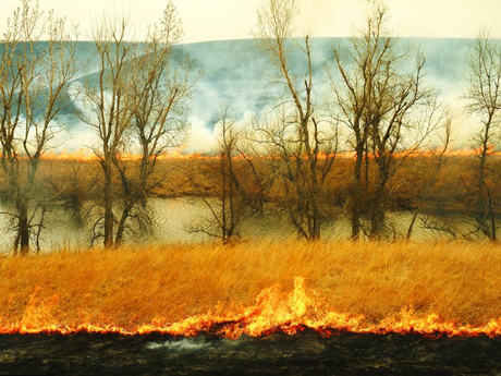 Fire is a natural part of a prairie ecosystem, including at NSF's Konza Prairie LTER site.: Photograph courtesy of NSF Konza Prairie LTER Site
